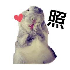 [LINEスタンプ] うさぎのすたんぷ①