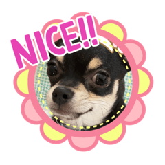 [LINEスタンプ] 小太郎ママ