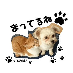 [LINEスタンプ] くるみぱんスタンプ