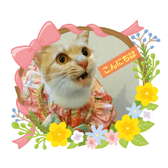 [LINEスタンプ] 可愛いみるたん