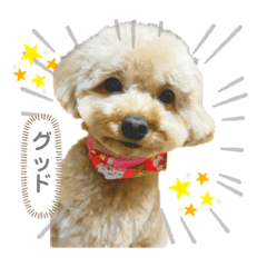 [LINEスタンプ] みすみ会