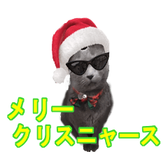 [LINEスタンプ] 陽気にゃうちの猫