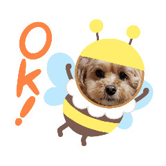 [LINEスタンプ] うちのララちゃんversion4