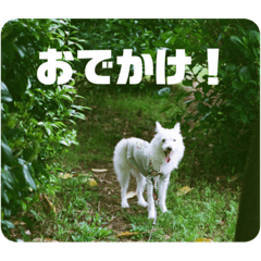 [LINEスタンプ] エラちゃんそのいち