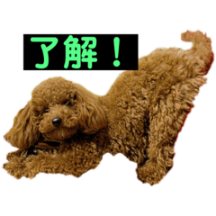 [LINEスタンプ] さくちゃんスタンプII
