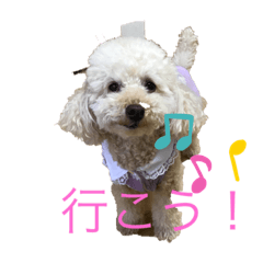 [LINEスタンプ] マハロの日常生活2