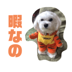 [LINEスタンプ] ハク様とテトりん