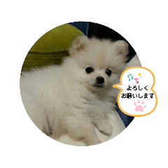 [LINEスタンプ] peace smile3