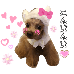 [LINEスタンプ] といプーギャビちゃん