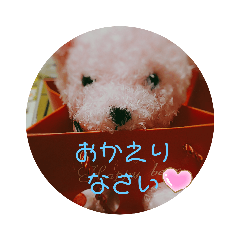 [LINEスタンプ] ぃろぃろスタンプ