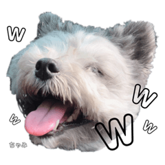 [LINEスタンプ] ちゃみちゃみ0621.2