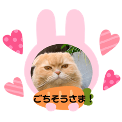 [LINEスタンプ] わかちゃんとふくちゃん3
