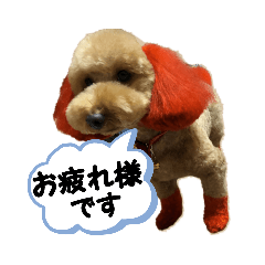 [LINEスタンプ] もこ好き過ぎて(ダップー)