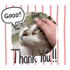 [LINEスタンプ] うちのモグ