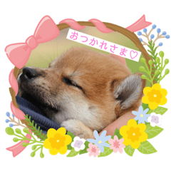 [LINEスタンプ] まろあんスタンプ3