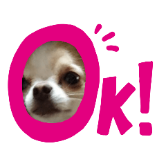 [LINEスタンプ] ♥プティさん♥