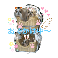 [LINEスタンプ] のんひめるり3ワンs"楽しい編