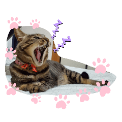 [LINEスタンプ] ほのぼのムーちゃん