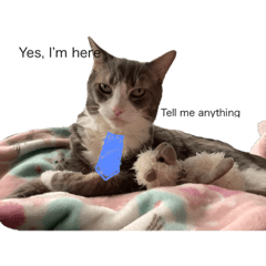 [LINEスタンプ] モモによると。。。