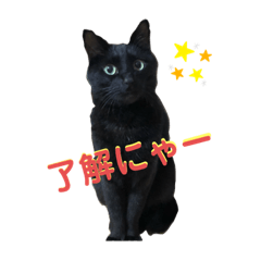 [LINEスタンプ] トト・ノアールスタンプパート1