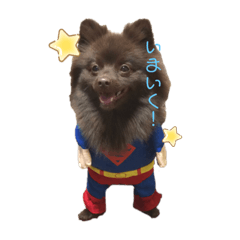 [LINEスタンプ] ポメラニアン もこちゃん