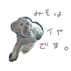 [LINEスタンプ] たぶんぷーどるのみもざ