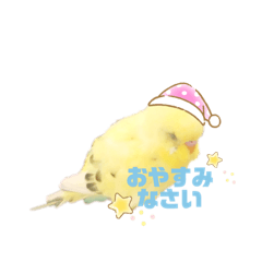 [LINEスタンプ] 小鳥の妖精ティティ