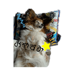 [LINEスタンプ] パピヨンパピヨン2