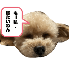 [LINEスタンプ] セブンの独り言