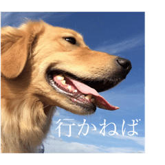 [LINEスタンプ] ここららスタンプPart1