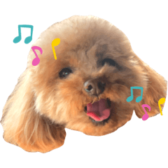 [LINEスタンプ] シェリー_1