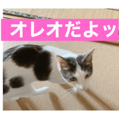 [LINEスタンプ] オレオのスタンプ（part.1）