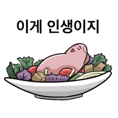 [LINEスタンプ] 野鳥の胸肉チヂミ