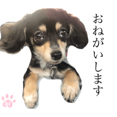 [LINEスタンプ] LEIさま