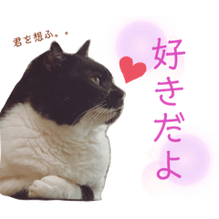 [LINEスタンプ] プクの日常