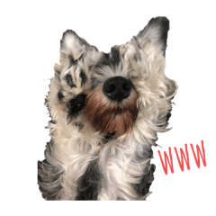 [LINEスタンプ] DOGSSS02