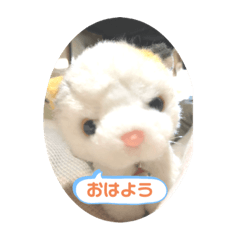 [LINEスタンプ] ソラくんと愉快な仲間達♬