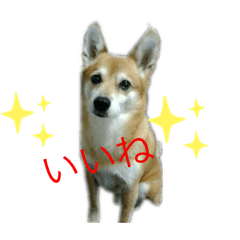 [LINEスタンプ] りゅうぅ