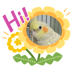 [LINEスタンプ] コタロー日常の一言