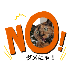 [LINEスタンプ] オルガとミカヅキの日常