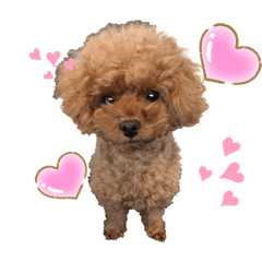 [LINEスタンプ] こども＆ワンコ