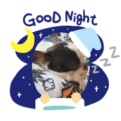 [LINEスタンプ] フレンチブルドッグ「ハチ」