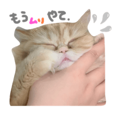 [LINEスタンプ] ヨヨ（part..1)