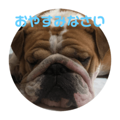 [LINEスタンプ] まんじゅうスタンプ2