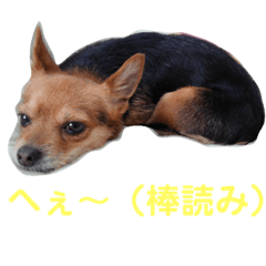 [LINEスタンプ] あたちのmix犬6