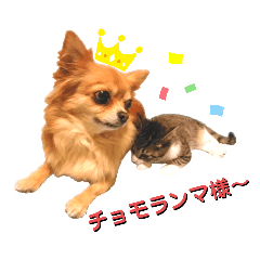 [LINEスタンプ] ビッケと愉快な仲間たちPART1