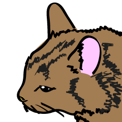 [LINEスタンプ] 猫のトムですの画像（メイン）