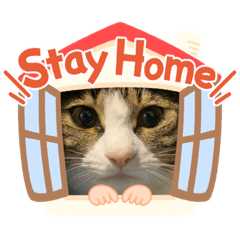 [LINEスタンプ] せつ子の休日