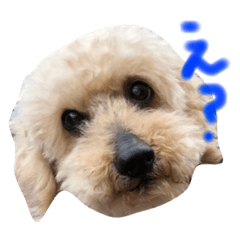 [LINEスタンプ] カフェとモカ その1