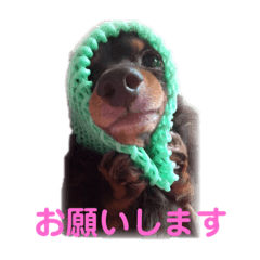 [LINEスタンプ] ダックス ココマカの日常2